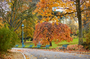 巴黎14区蒙苏里公园（Parc Montsouris）​